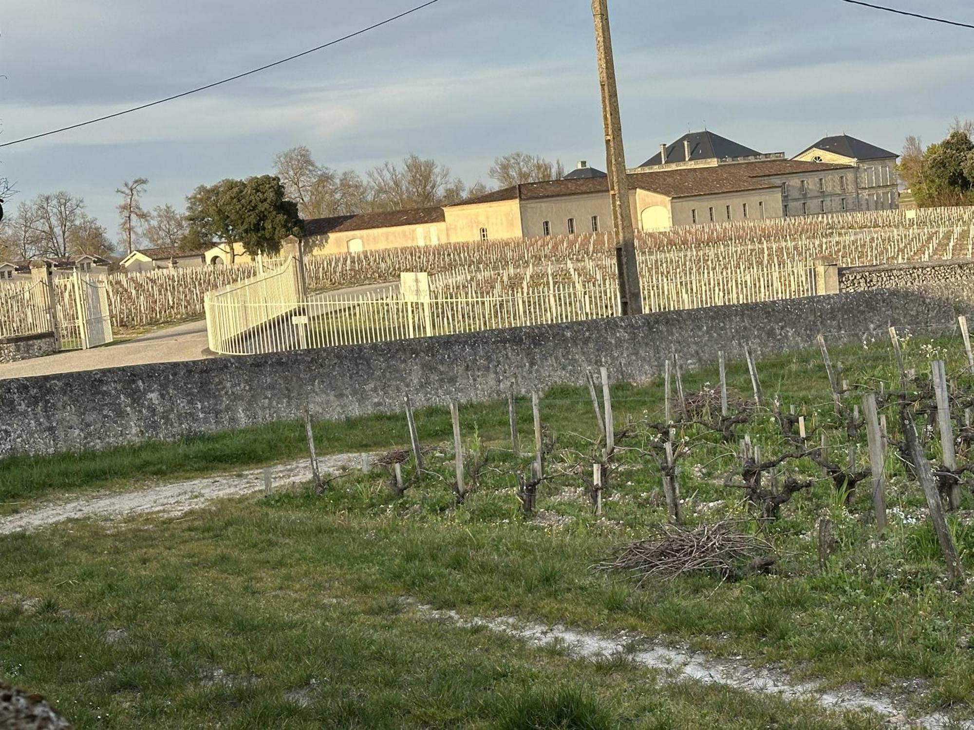 Maison Jeroboam Saint-Estephe  Luaran gambar